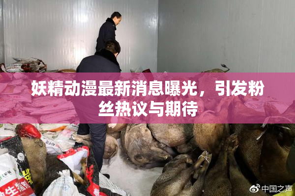 妖精动漫最新消息曝光，引发粉丝热议与期待