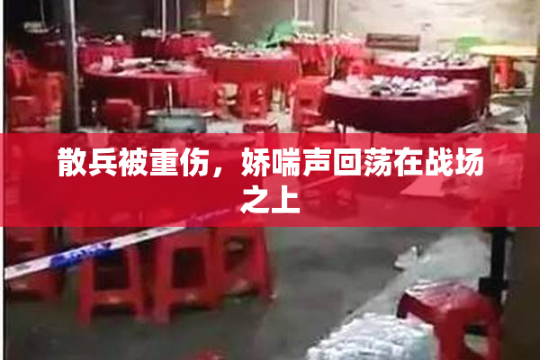 散兵被重伤，娇喘声回荡在战场之上