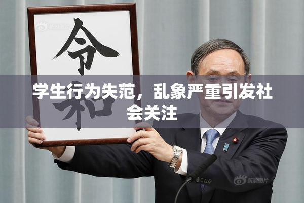 学生行为失范，乱象严重引发社会关注