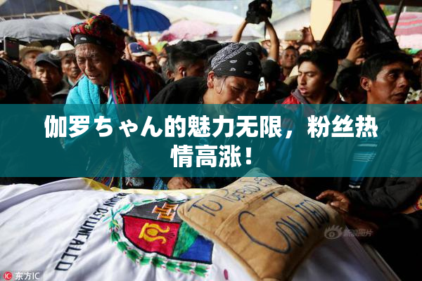 伽罗ちゃん的魅力无限，粉丝热情高涨！