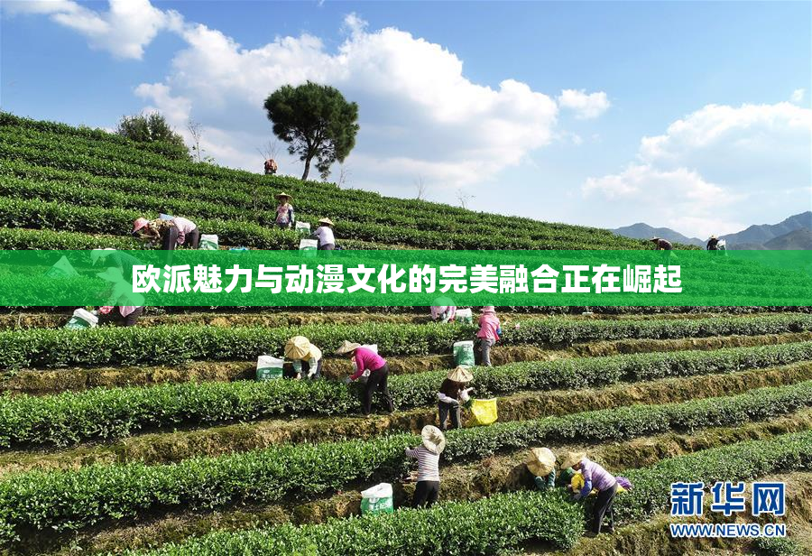 欧派魅力与动漫文化的完美融合正在崛起