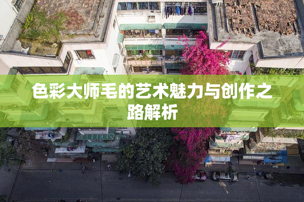 色彩大师毛的艺术魅力与创作之路解析