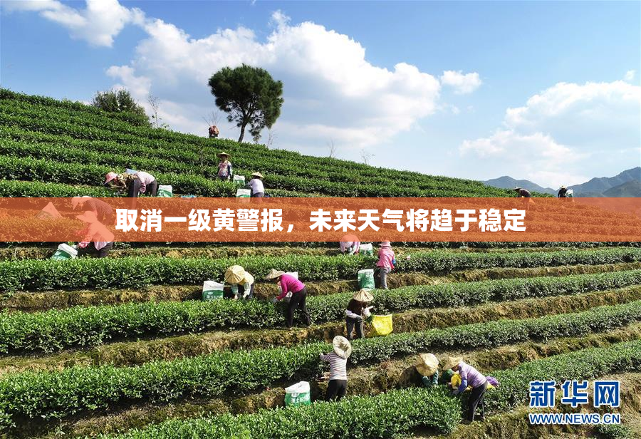 取消一级黄警报，未来天气将趋于稳定