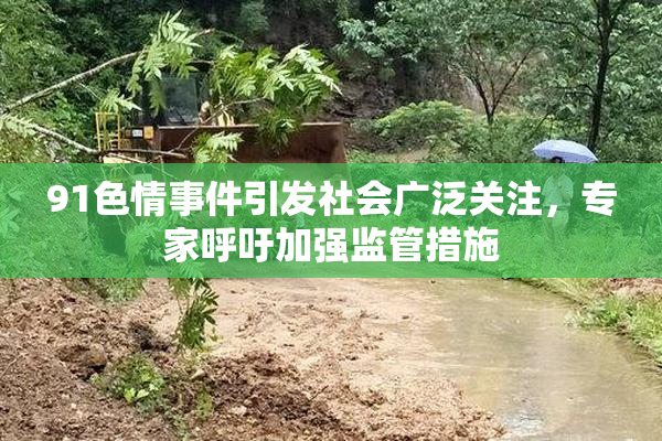 91色情事件引发社会广泛关注，专家呼吁加强监管措施