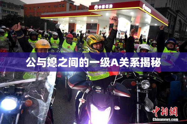 公与媳之间的一级A关系揭秘