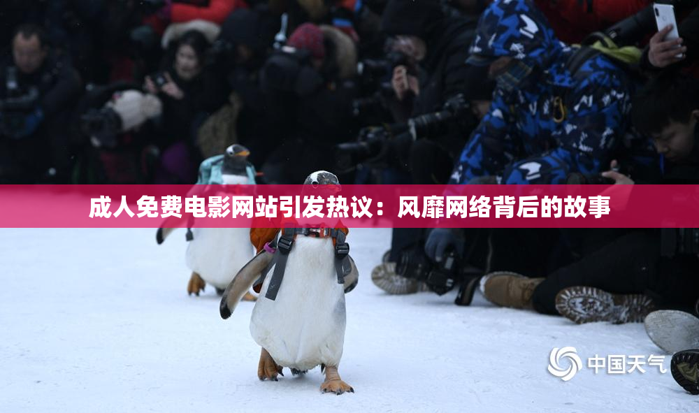 成人免费电影网站引发热议：风靡网络背后的故事
