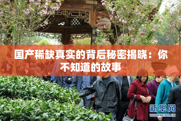 国产稀缺真实的背后秘密揭晓：你不知道的故事