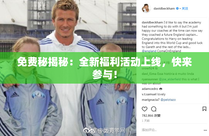 免费秘揭秘：全新福利活动上线，快来参与！