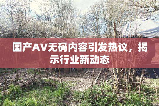 国产AV无码内容引发热议，揭示行业新动态