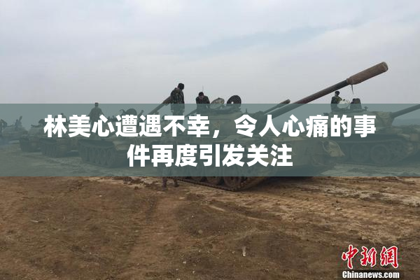 林美心遭遇不幸，令人心痛的事件再度引发关注