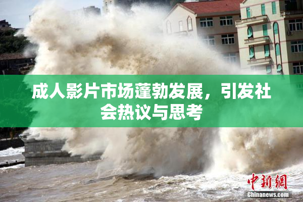 成人影片市场蓬勃发展，引发社会热议与思考