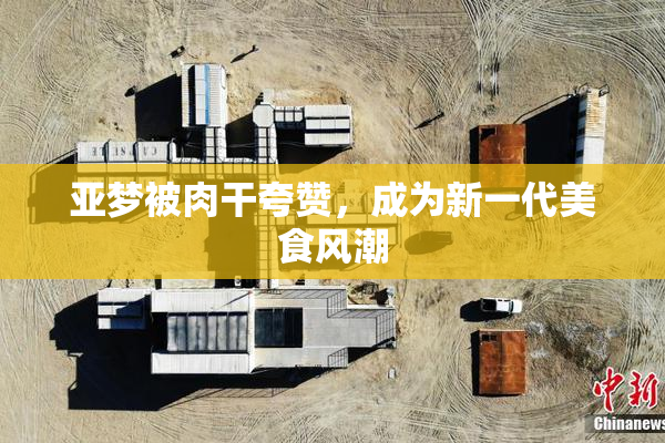 亚梦被肉干夸赞，成为新一代美食风潮