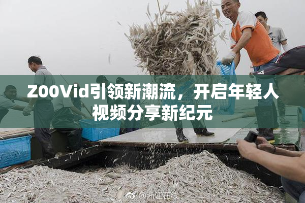Z00Vid引领新潮流，开启年轻人视频分享新纪元