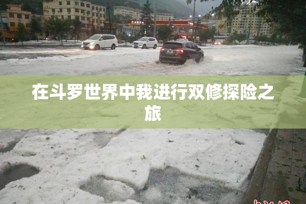 在斗罗世界中我进行双修探险之旅