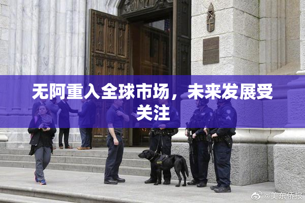 无阿重入全球市场，未来发展受关注
