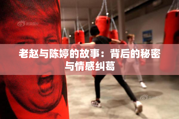 老赵与陈婷的故事：背后的秘密与情感纠葛