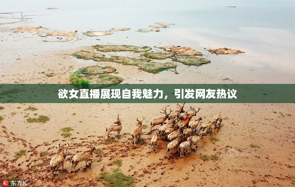 欲女直播展现自我魅力，引发网友热议