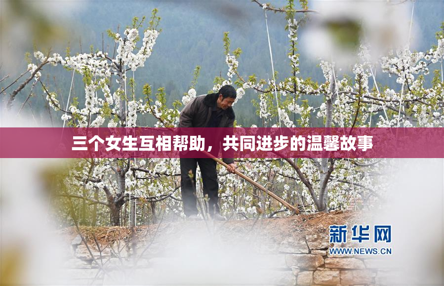 三个女生互相帮助，共同进步的温馨故事
