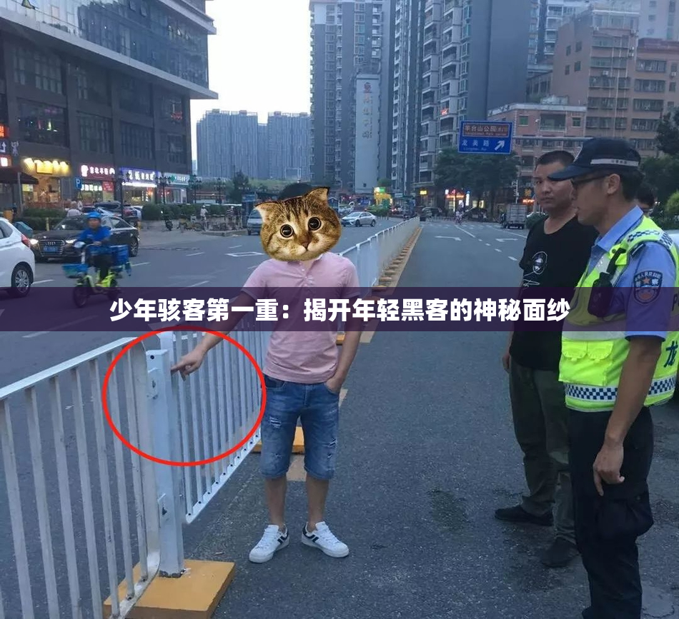 少年骇客第一重：揭开年轻黑客的神秘面纱