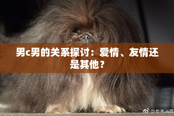 男c男的关系探讨：爱情、友情还是其他？