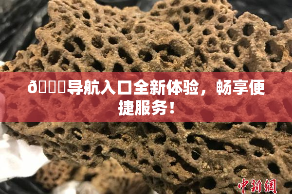 🍓导航入口全新体验，畅享便捷服务！