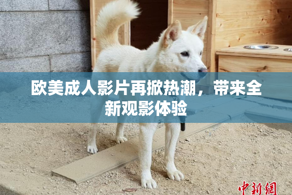 欧美成人影片再掀热潮，带来全新观影体验