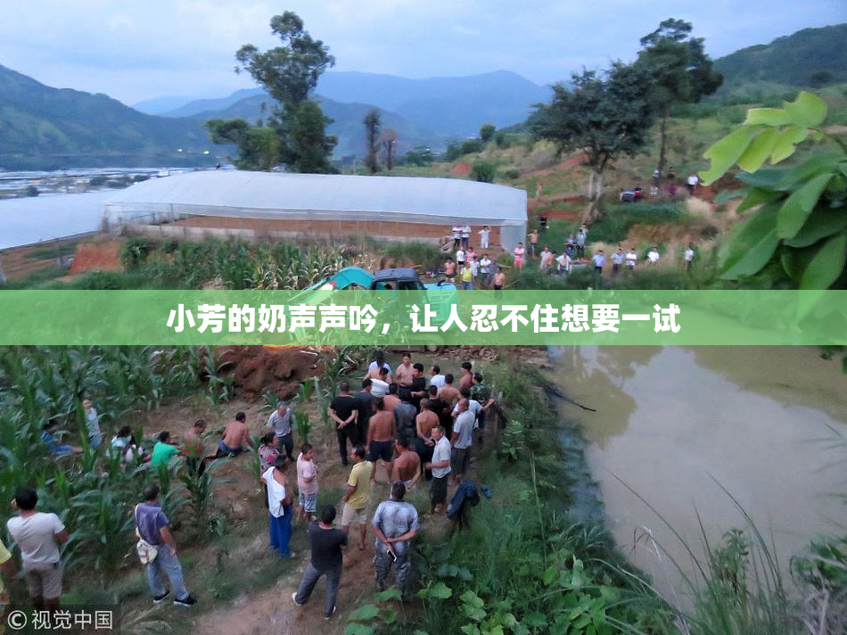 小芳的奶声声吟，让人忍不住想要一试