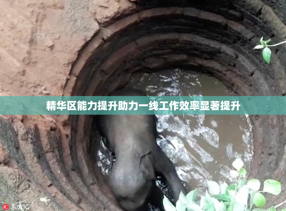 精华区能力提升助力一线工作效率显著提升