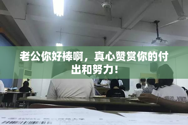 老公你好棒啊，真心赞赏你的付出和努力！