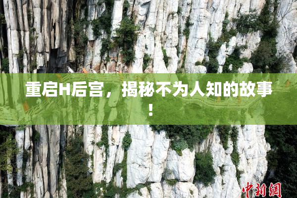 重启H后宫，揭秘不为人知的故事！