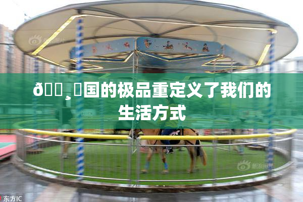 🌸‌国的极品重定义了我们的生活方式