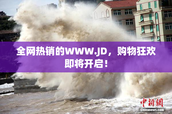 全网热销的WWW.JD，购物狂欢即将开启！