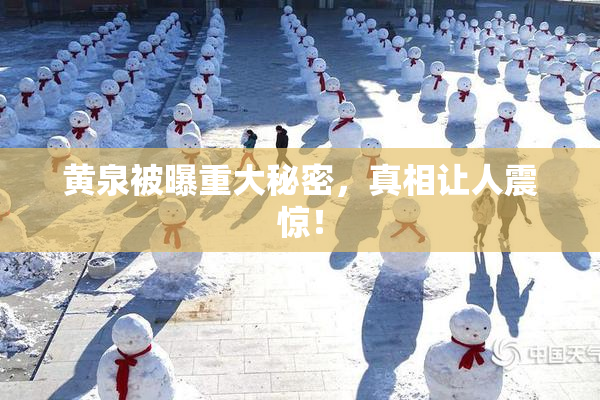 黄泉被曝重大秘密，真相让人震惊！