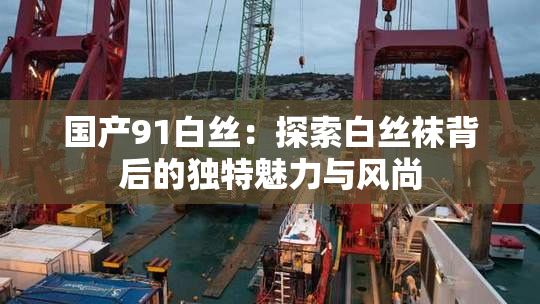 国产91白丝：探索白丝袜背后的独特魅力与风尚