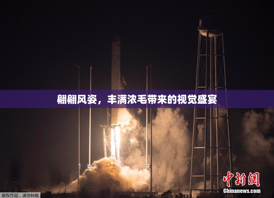 翩翩风姿，丰满浓毛带来的视觉盛宴
