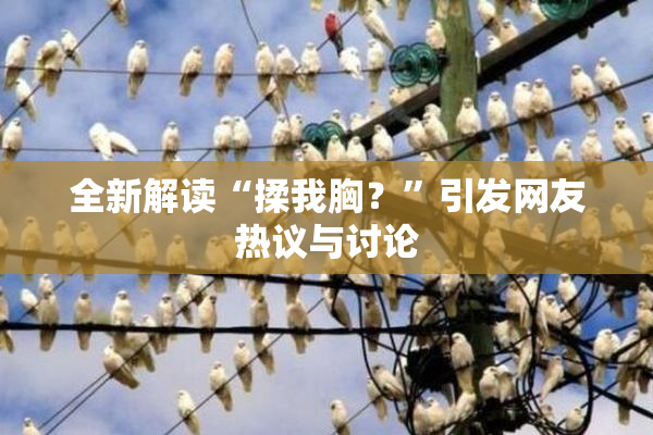 全新解读“揉我胸？”引发网友热议与讨论
