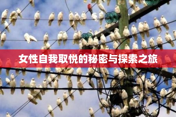 女性自我取悦的秘密与探索之旅
