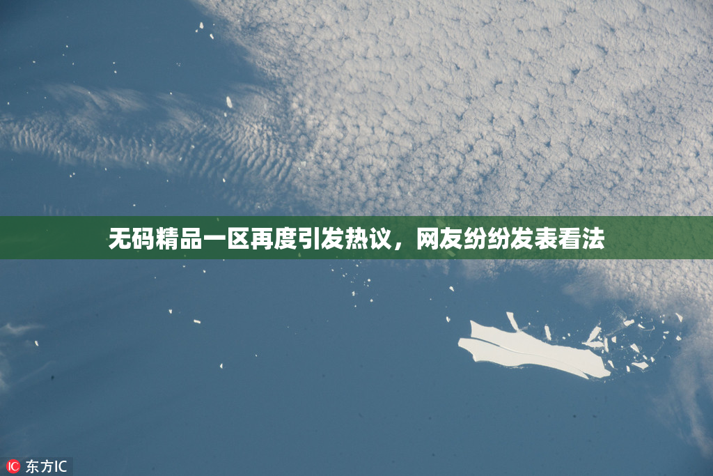 无码精品一区再度引发热议，网友纷纷发表看法