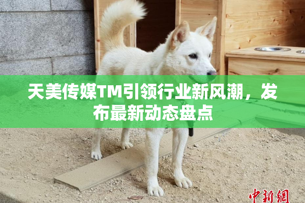天美传媒TM引领行业新风潮，发布最新动态盘点