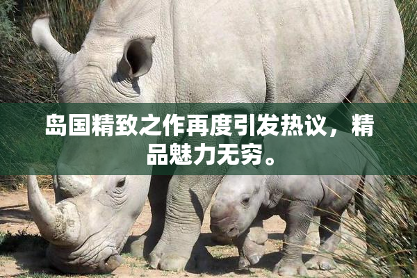 岛国精致之作再度引发热议，精品魅力无穷。