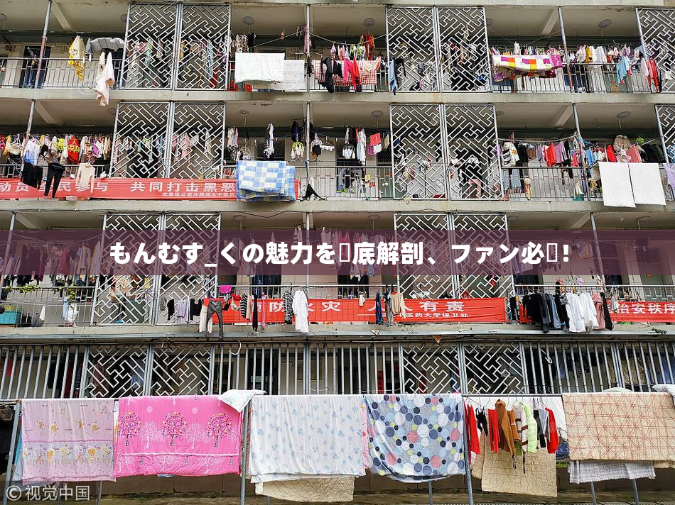 もんむす_くの魅力を徹底解剖、ファン必見！