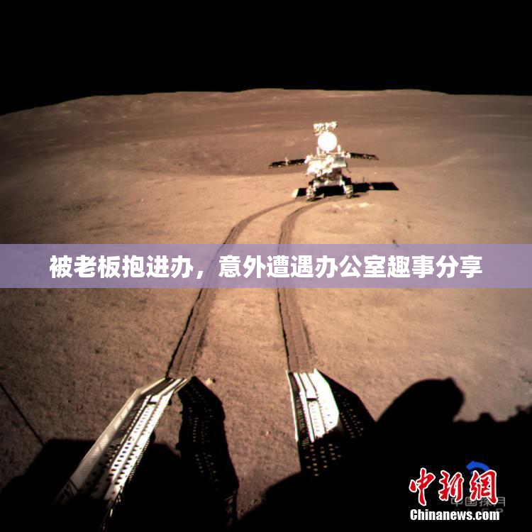 被老板抱进办，意外遭遇办公室趣事分享