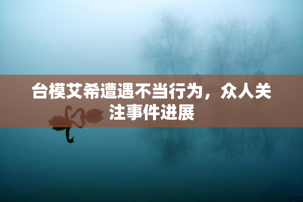 台模艾希遭遇不当行为，众人关注事件进展