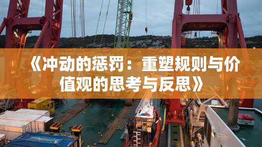 《冲动的惩罚：重塑规则与价值观的思考与反思》