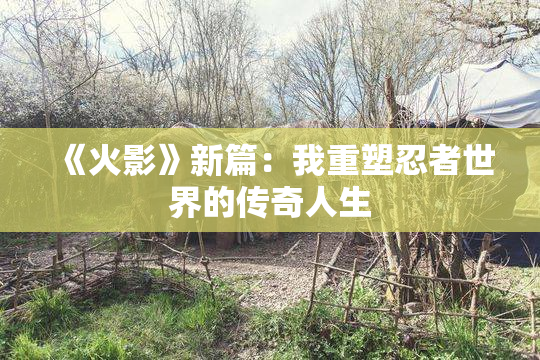 《火影》新篇：我重塑忍者世界的传奇人生