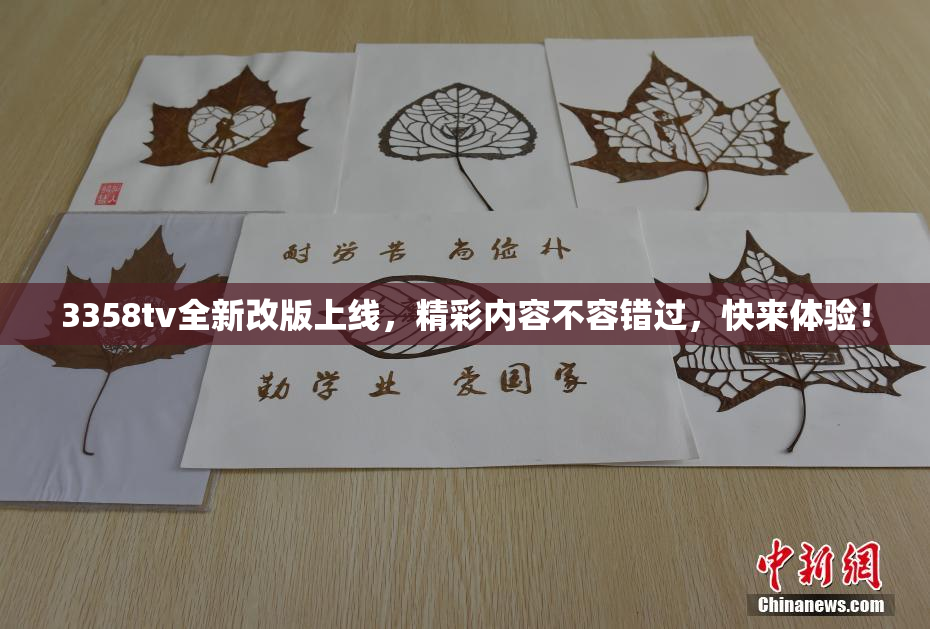 3358tv全新改版上线，精彩内容不容错过，快来体验！