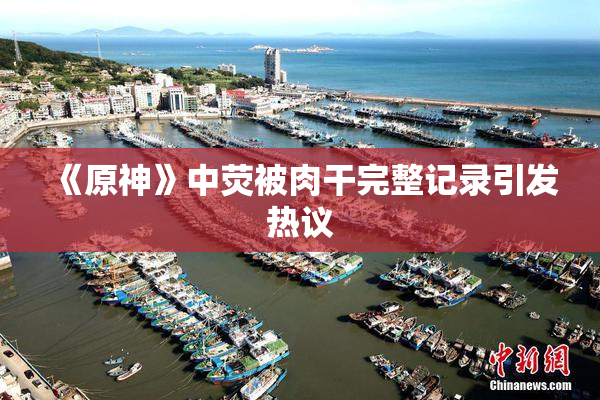 《原神》中荧被肉干完整记录引发热议