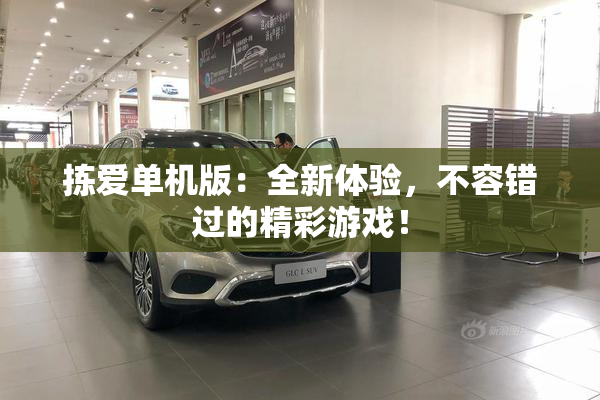 拣爱单机版：全新体验，不容错过的精彩游戏！