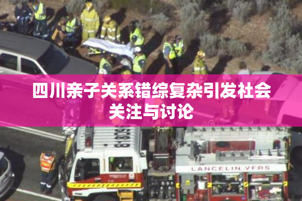 四川亲子关系错综复杂引发社会关注与讨论