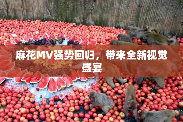 麻花MV强势回归，带来全新视觉盛宴
